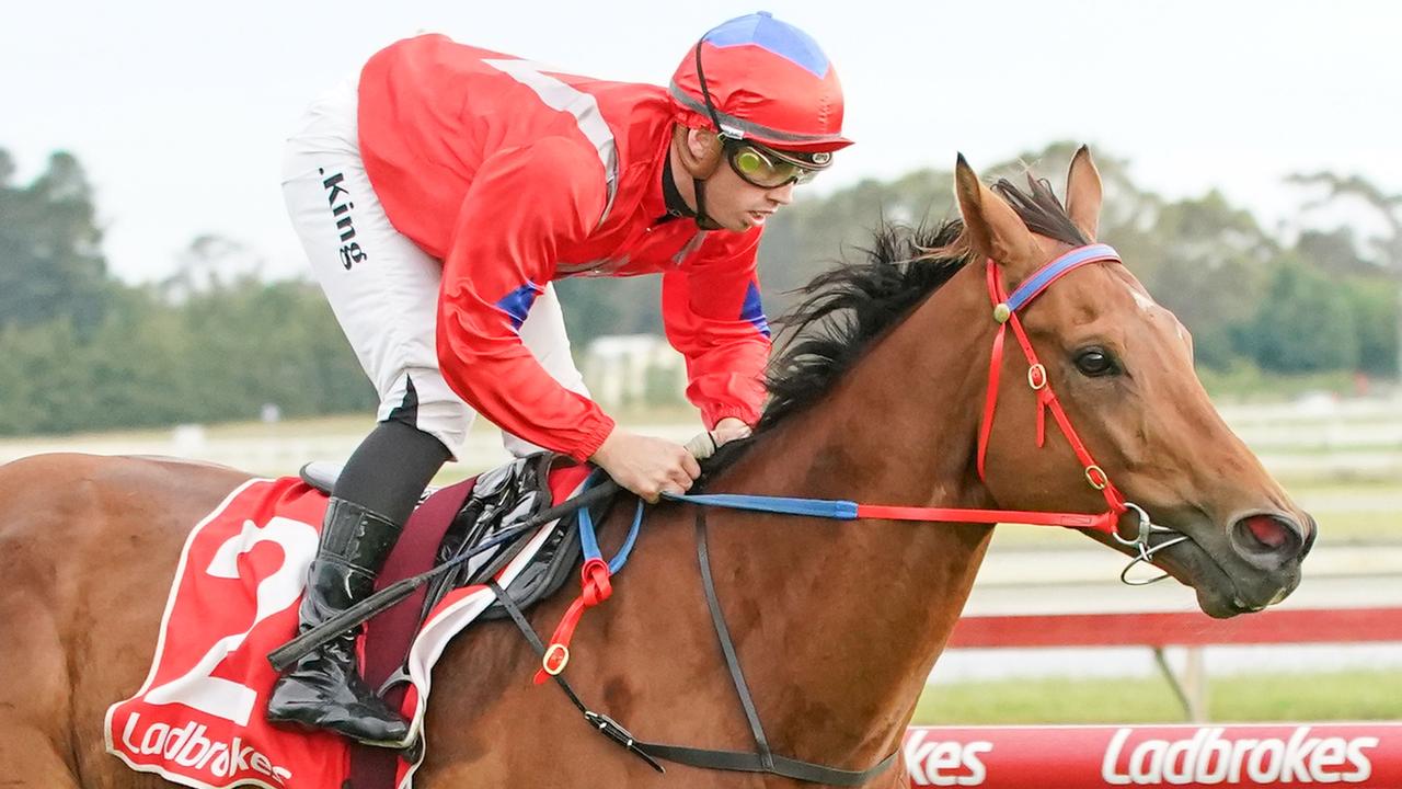 Consistent performer Achaeus will be out to repeat his easy last-start win at Sale when he runs at Werribee on Thursday. Picture : Racing Photos via Getty Images.