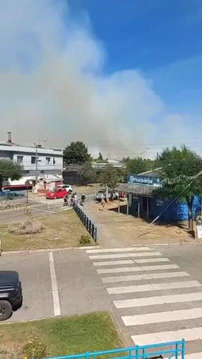 Two Firefighters Injured While Battling Forest Fire in Southern Chile