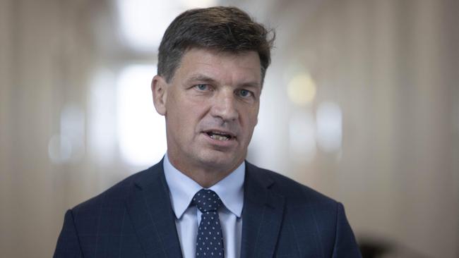 Angus Taylor, Minister for Energy and Emissions Reduction. Picture: NCA NewsWire / Gary Ramage