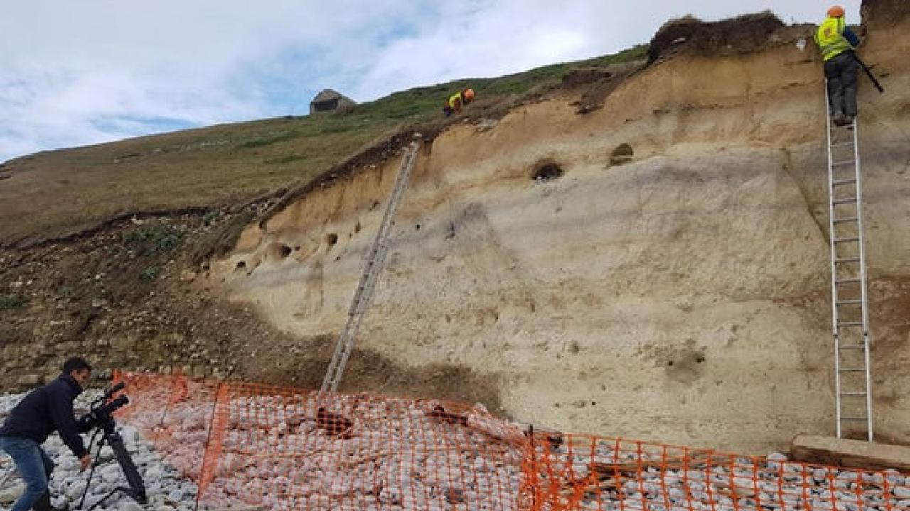 Climbing experts have helped archaeologists recover remains from the eroding cliff site. Picture: Cardiff University