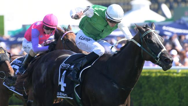 Bobbing will be chasing a spot in the Country Championships Final when he contests the Wild Card at Muswellbrook. Picture: AAP