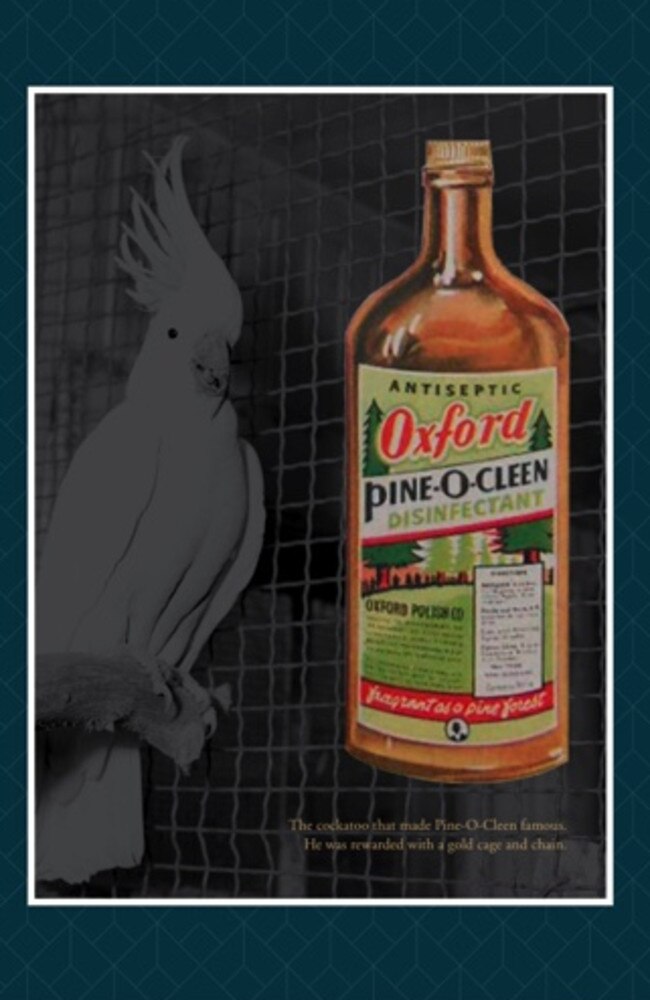 An old Pine-O-Cleen advert. The cleaning product was created by Bracton Industries, now based in Brookvale. Picture: Supplied.