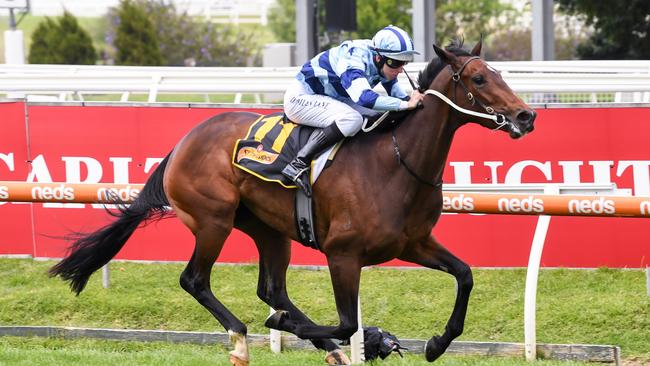 Daisies is one of the favourites in the Oaks. Picture: Ryan/Racing Photos via Getty Images