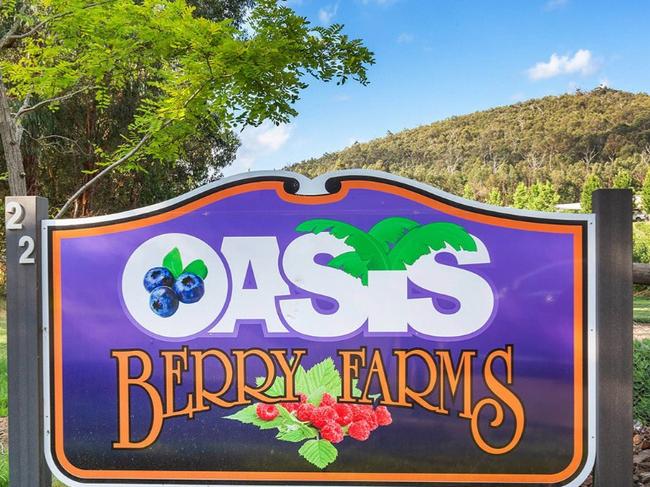 Oasis Blueberry Farm in Steels Creek has been listed for sale. Picture: Integrity Real Estate