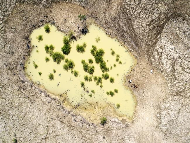 Cattle lie dead as floodwaters recede on a property 30km west of Julia Creek.