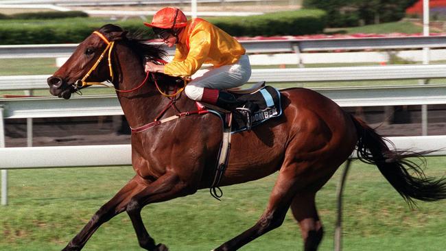 Chief De Beers at Doomben in 1996. Picture: Turf A/CT