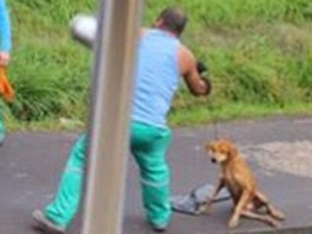 Brazilian garbage man abuses dog. Picture: Facebook/Xuxa