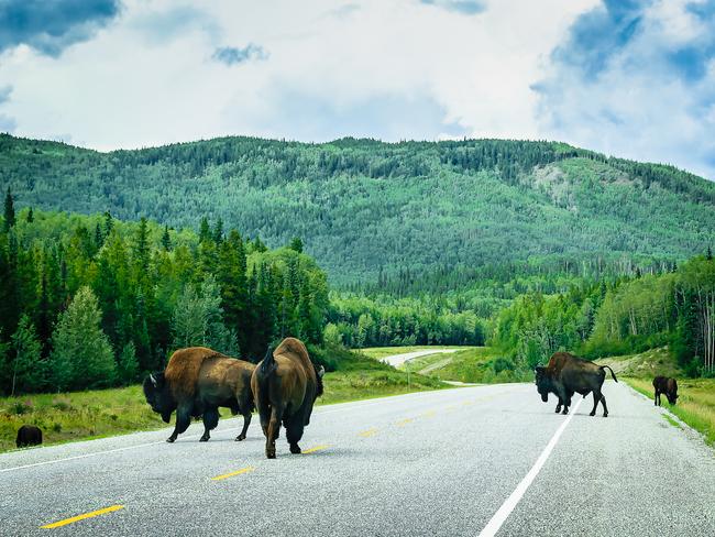 Alaska Highway 75th anniversary events in 2017 | escape.com.au