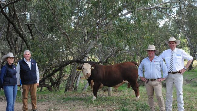 Annie Pumpa and Bill Cornell from ABS Australia, one of three buyers of the top-priced bull, Injemira Redford Q287, which made $160,000; Injemira principal Marc Greening; and auctioneer Paul Dooley. Picture: Fiona Myers