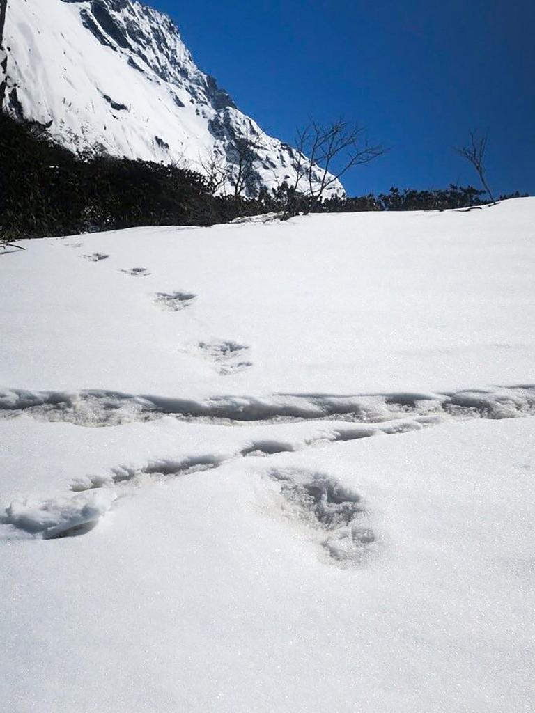 What look to be large footprints are seen in the snow, sighted by the Indian soldiers, near the Makalu Base Camp in the Himalayas. Picture: AFP