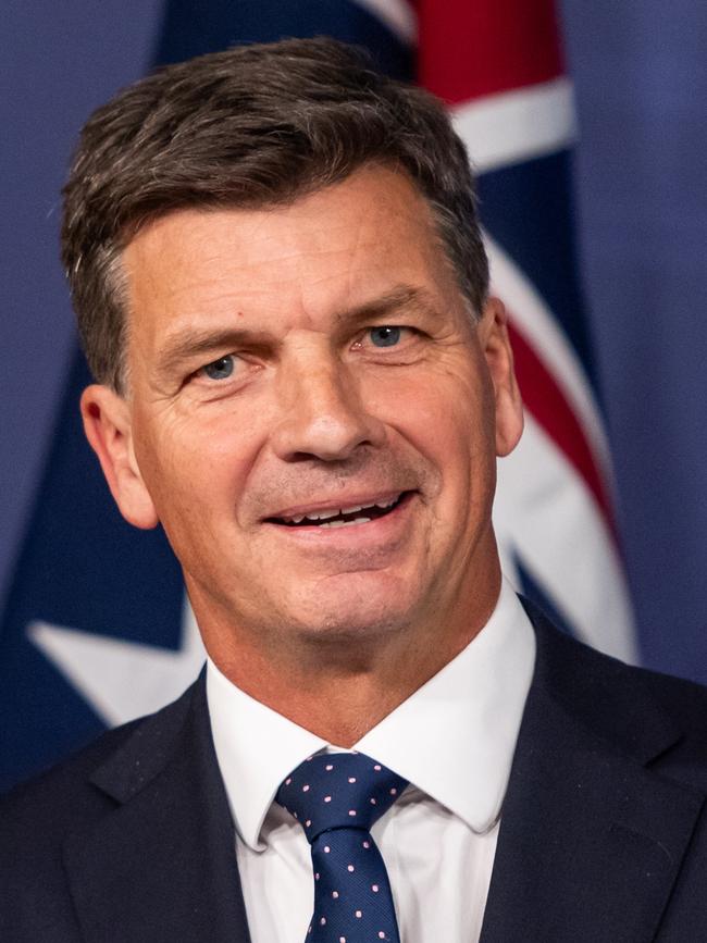 Shadow Treasurer Angus Taylor. Picture: NewsWire/Monique Harmer