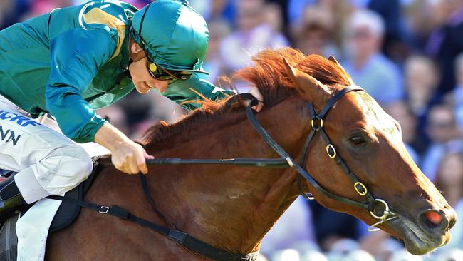 Capitalist and Blake Shinn combine to win the 60th edition of the Golden Slipper Stakes. Picture: Jenny Evans