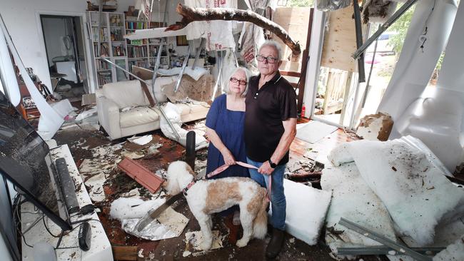 HOLD GOLD COAST BULLETIN EMBARGO 5TH JAN  Damage from the storms that brought tornados and flooding rains to Mt Tamborine. Susan and David Hanmore, with dog Gracie, marvel at how lucky they were to escape with minor injuries after a tree went through their home on  Kinabalu Drive. . Picture Glenn Hampson