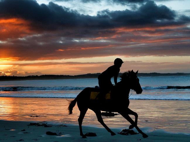 Lady Bay Beach at Warrnambool is a popular location for racehorses to enjoy a swim and a canter on the foreshore.