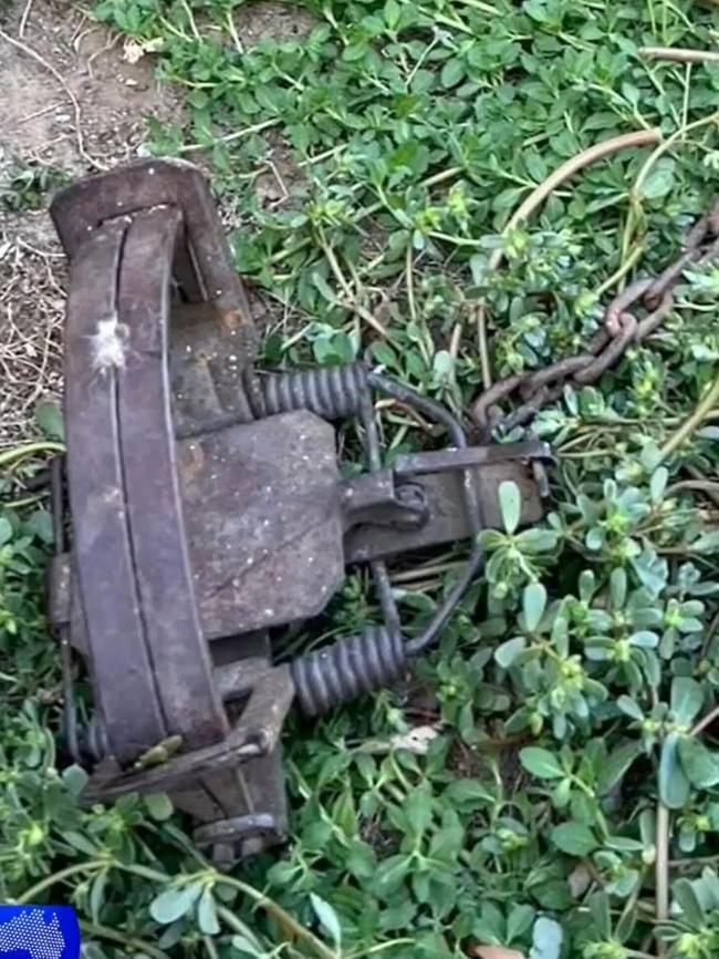 Police and the RSPCA are investigating the alleged case of animal cruelty. Picture: NINE NEWS