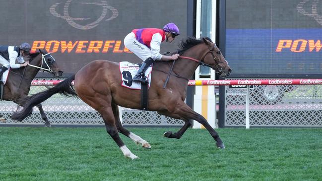 Ain'tnodeeldun has won his past three but could be scratched again from the Ballarat Cup on Saturday. Picture: Scott Barbour/Racing Photos via Getty Images