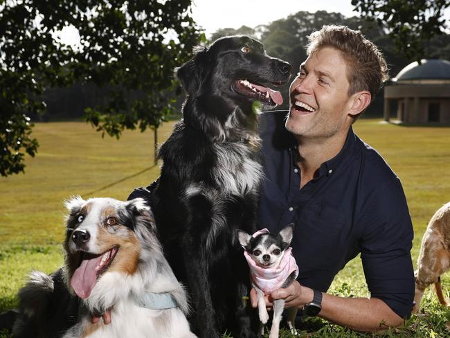 DAILY TELEGRAPH 1ST JULY 2024EMBARGOED FOR WEDNESDAY 3RD JULYPictured at Centennial Park in Sydney is celebrity veterinarian Dr Chris Brown with dogs Buddy, Buzzy, Tequila and Duey.There will shortly be a national pet census to gauge how many households have pets and what kind they have.Picture: Richard Dobson