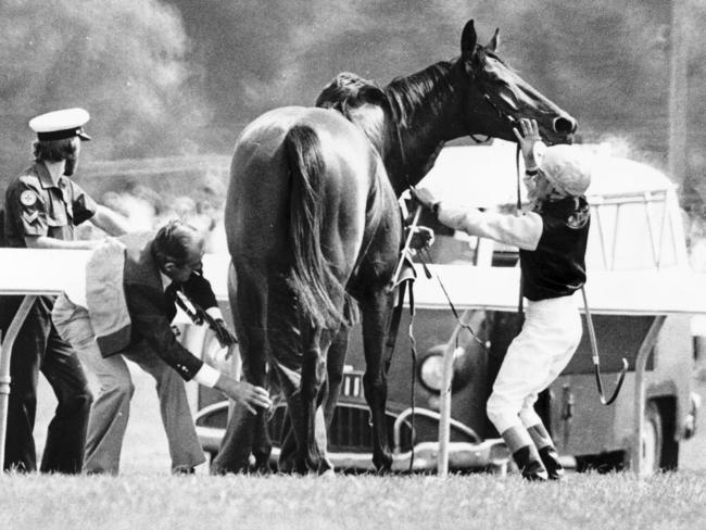 A stricken Dulcify in the 1979 Melbourne Cup.