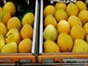 Boxes of mangoes.