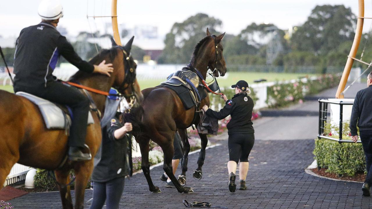 Champion mare Winx became unsettled and kicked the mounting yard fence in a trackwork scare.