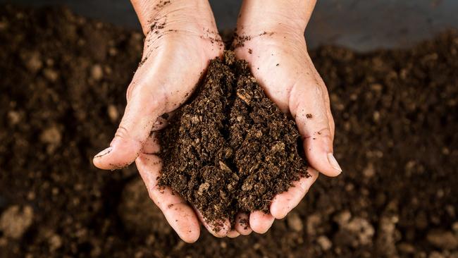 A solution to better climate change protection is to ensure we look after our soil.