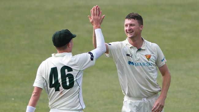 Jackson Bird of the Tigers celebrates a wicket during day two of the Sheffield Shield match between Tasmania and New South Wales at Blundstone Arena. Picture: Steve Bell/Getty Images