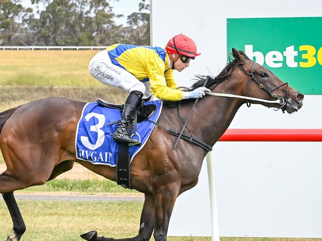 Enigma ridden by Thomas Stockdale wins the Phillips Farm Machinery BM58 Handicap at Hamilton Racecourse on December 07, 2021 in Hamilton, Australia. (Alice Miles/Racing Photos via Getty Images)