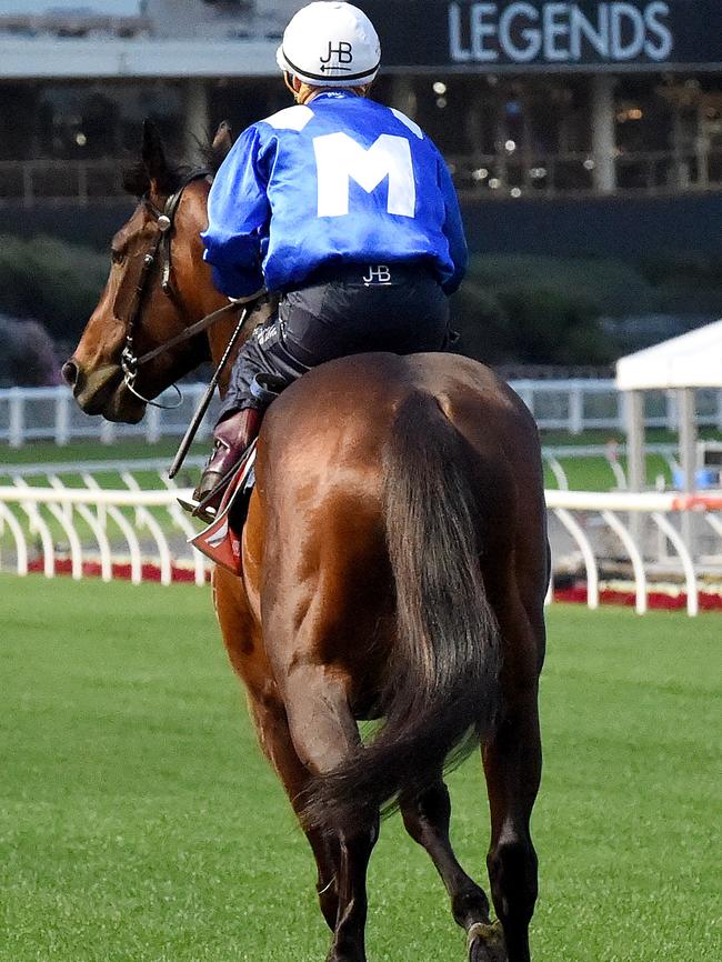 Hugh Bowman and Winx get familiar with Moonee Valley circuit on Tuesday. Picture: Nicole Garmston