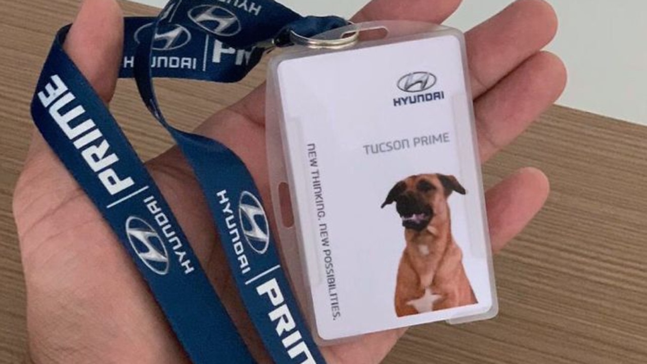 Tucson Prime was given his own ID card.