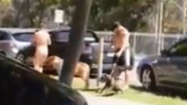 A man has been captured on film kicking and dragging his dog from a ute. Photo: Supplied.