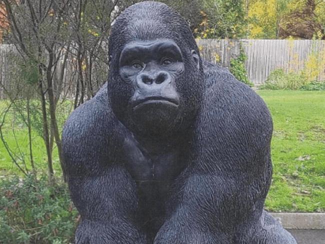 Garry the Gorilla has been returned to his rightful home at a St Helena retirement village. Picture: Victoria Police