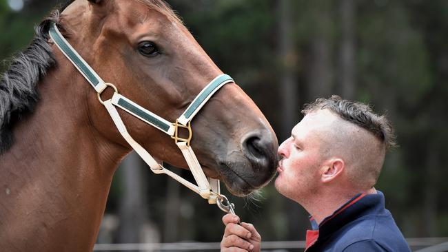 Trainer Scott Brunton gives one of his Launceston Cup contender Travelling Gigolo a good luck kiss at his Seven Mile Beach stables. Picture: Peter Staples