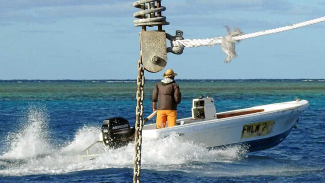 Live trout fishermen work at ground zero in their dories, making them expert in shark behaviour. Picture: Contributed