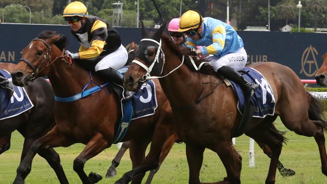 Vowmaster (outside) was gallant in defeat first-up and can go one better on Saturday. Picture: Grant Guy