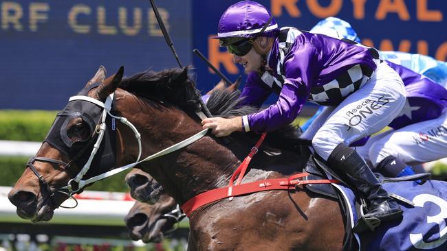 Reece Jones (pictured) partners Amarantz at Gosford. Picture: Getty Images