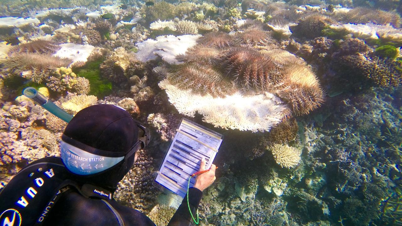 Scientists Are Tinkering With Clouds to Save the Great Barrier Reef