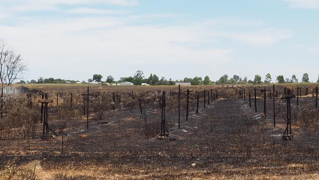 The burnt out remains of a recent fire in an abandoned fruit block at Red Cliffs. Picture: Glenn Milne