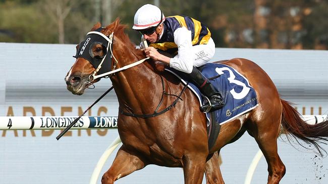 Nash Rawiller will reconnect with Cepheus in The Gong on Saturday. Picture: Jeremy Ng/Getty Images