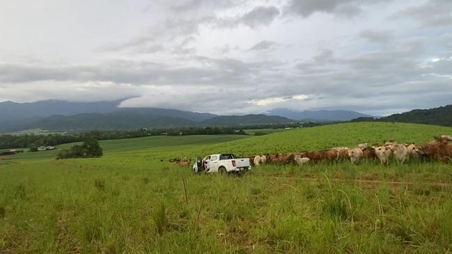 Resident Kincaid Lunn captured footage of the rescue efforts of two hikers who were lost for several hours during a bushwalk in a Far North Queensland rainforest. Picture: Supplied.