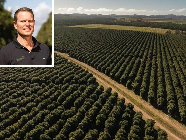 Macadamia nut farmer Henrik Christiansen, who waters his 120,000 macadamia trees on 340ha of land in South Yaamba, said the impact of Rockhampton Regional Council's new pricing structure on his bottom line is significant.