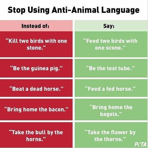 Animal rights group PETA are suggesting sayings like "bring home the bacon" are offensive. Picture: Joshua Preston