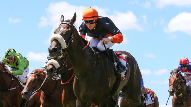 Maharba is set to improve second-up at Caulfield on Saturday. Picture: George Sal/Racing Photos via Getty Images