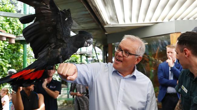 Former prime minister Scott Morrison during a visit to the Cairns Zoom and Wildlife Dome, to announce $60 million in tourism marketing by the federal government – $15 million was to be allocated to Tropical Tourism North Queensland, but there are fears the new Labor government will renew on the promise. Picture: Brendan Radke