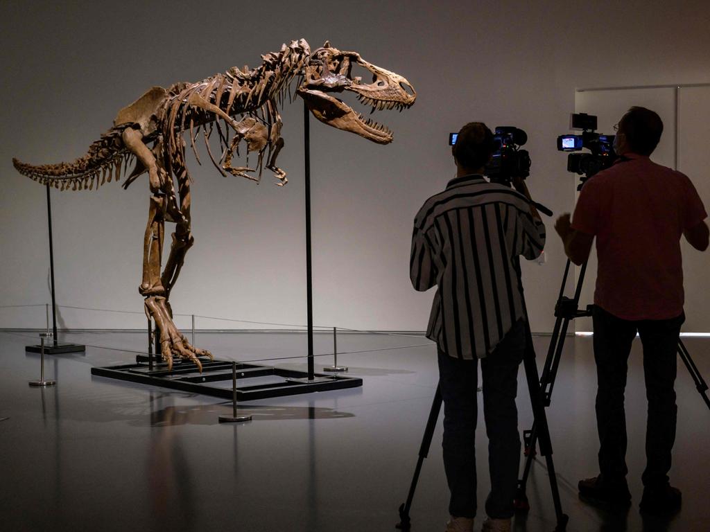 Fierce' dino fossil fetches fortune | KidsNews