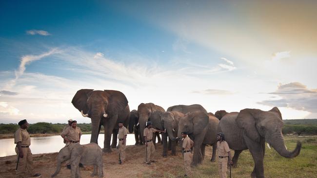 Safari guide: Camp Jabulani in Kapama Game Reserve | escape.com.au