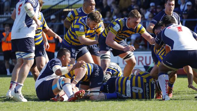 Sydney University in action against Eastwood at Pittwater Rugby Park. Pic: Karen Watson