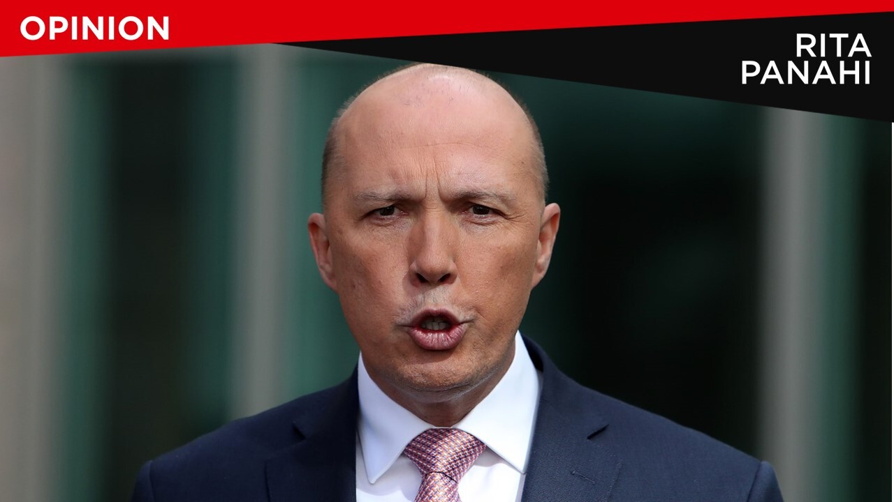 Peter Dutton's au pairs decision 'doesn't pass the pub test'