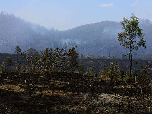 Australian farmers bear the brunt of bushfires and feral animals.