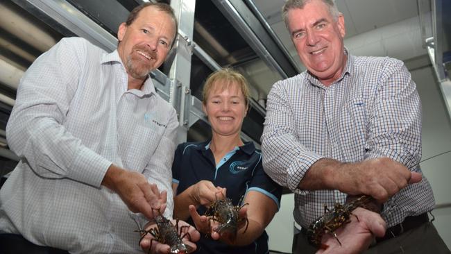 Ornatas CEO Scott Parkinson, hatchery manager Jennifer Blair and QLD Agriculture Minister Mark Furner.