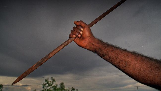 Police are investigating after a teenage boy threw a wooden spear at a bus driver in Mooroobool.